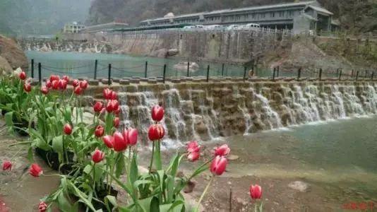 75岁邢质斌接孙子放学被围观!穿搭朴素不见央视主播风采,但气质就不是普通人